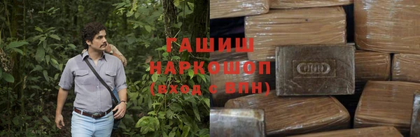 гидра Богданович