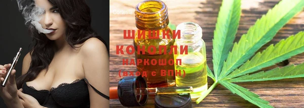 apvp Богородицк