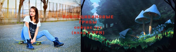 гидра Богданович