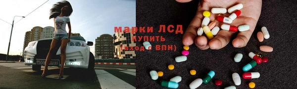 гидра Богданович