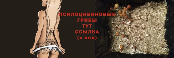 соль ск Белоозёрский
