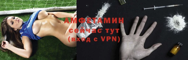 гидра Богданович