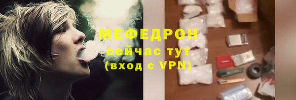 гидра Богданович