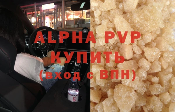 гидра Богданович