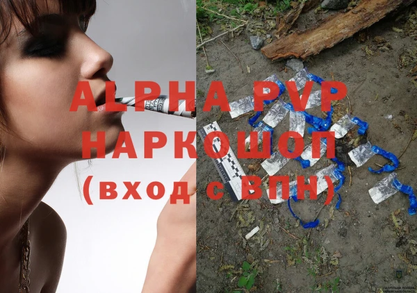 гидра Богданович