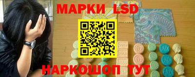 spice Брянск