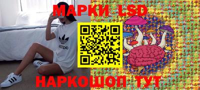крисы Братск