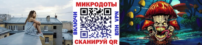Псилоцибиновые грибы Cubensis  наркошоп  Маркс 