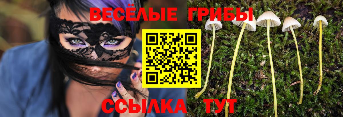 Псилоцибиновые грибы мухоморы Маркс